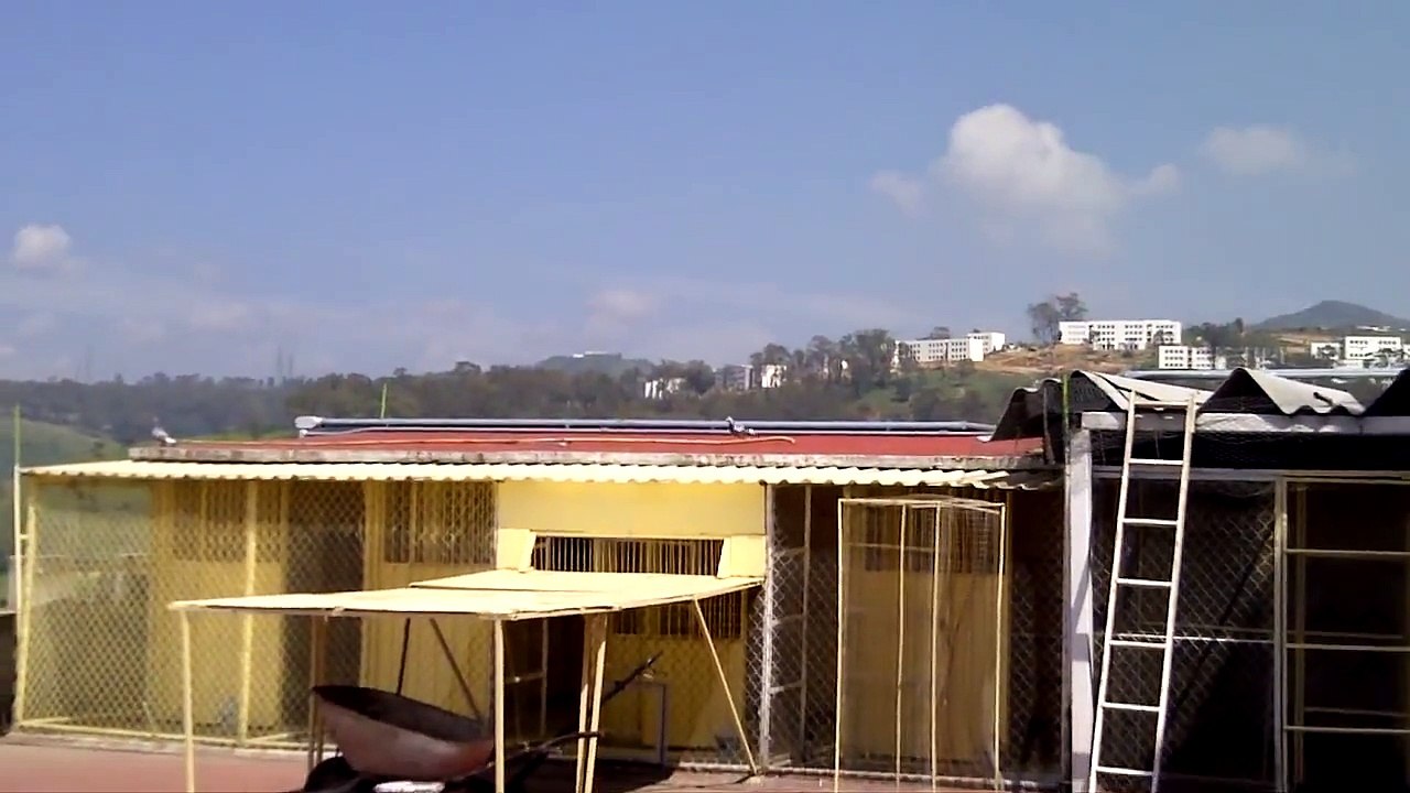 Entrenamiento palomas mensajeras Colombodromo Finca las Palomas