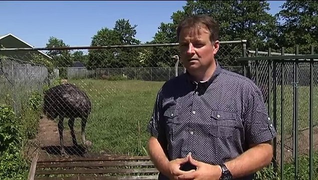 Het Weer: John bie de boer [30-6-2015] - RTV Noord