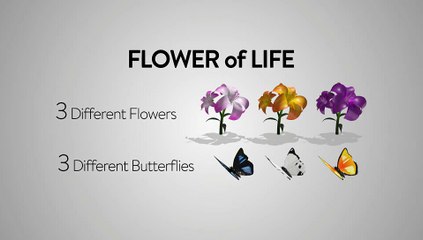 After Effects Project Files - Flower of Life - VideoHive 9666585