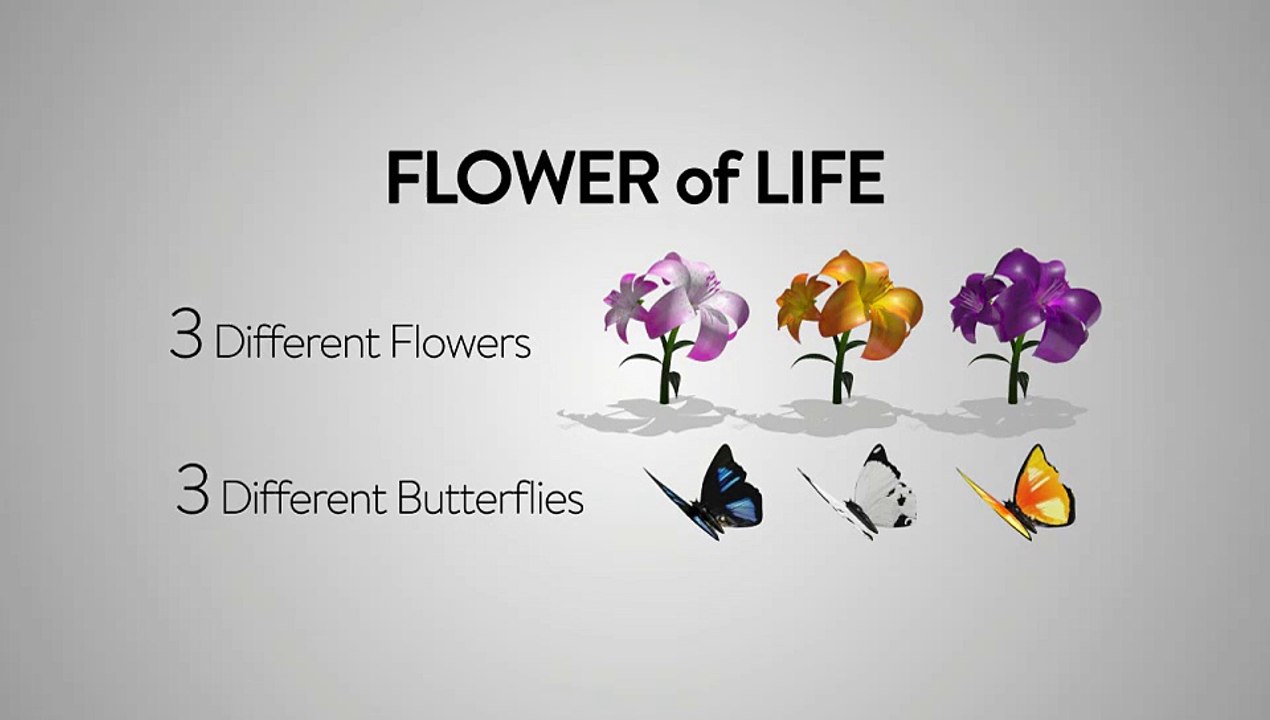 After Effects Project Files - Flower of Life - VideoHive 9666585