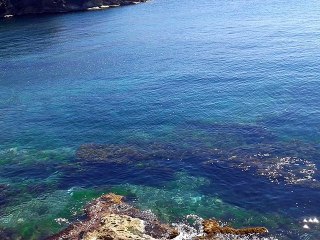 trés belle journée ( 29/06/2015 )