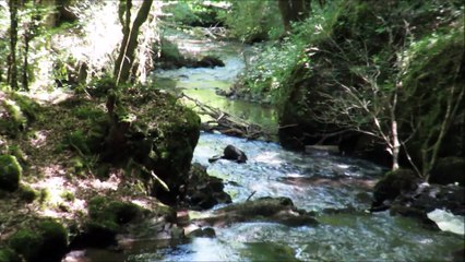 les cascades de Murel à Forgès en Corrèze