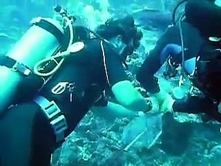 GUE members capture and document first Lion Fish in Bonaire Oct 2009