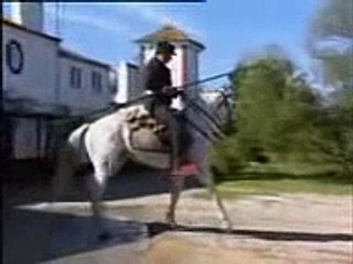 Campo bravo 3 5 Tierra de toros 2