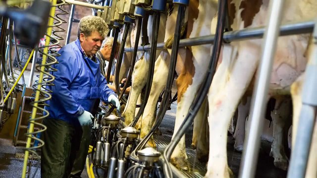 Les produits laitiers sont nos amis pour la vie