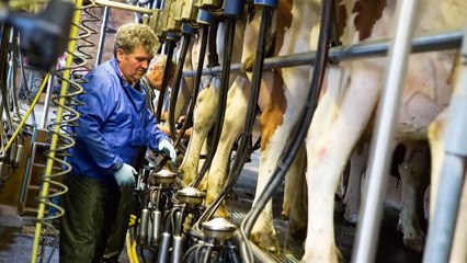 Les produits laitiers sont nos amis pour la vie