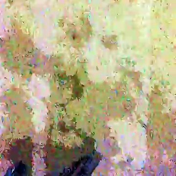 Vídeos by iPhone 4, cotidiano de uma caminhada, Taubaté, SP, Brasil, (173)