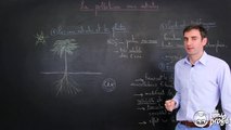 La pollution aux nitrates - Sciences 1ère ES/L - Les Bons Profs