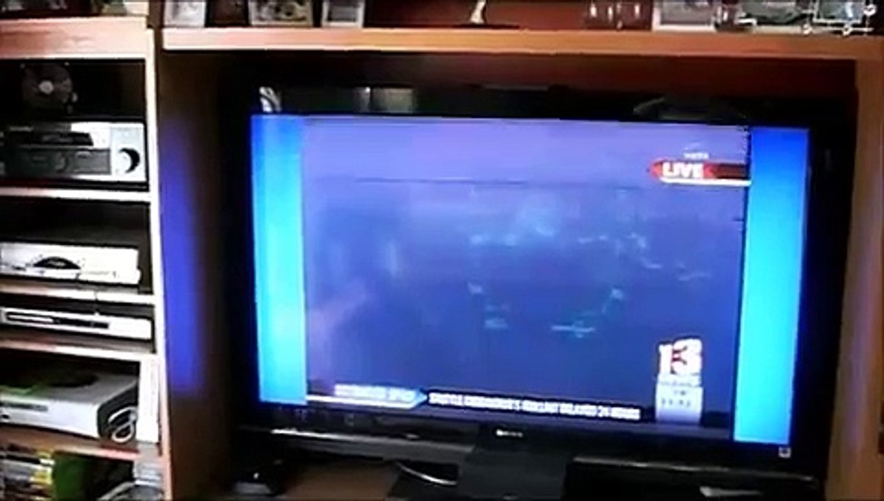 Cats react to Sonic Boom from Space Shuttle Discovery