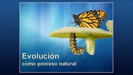 Sergi Torres Conferencia en Barcelona, Marzo 2011