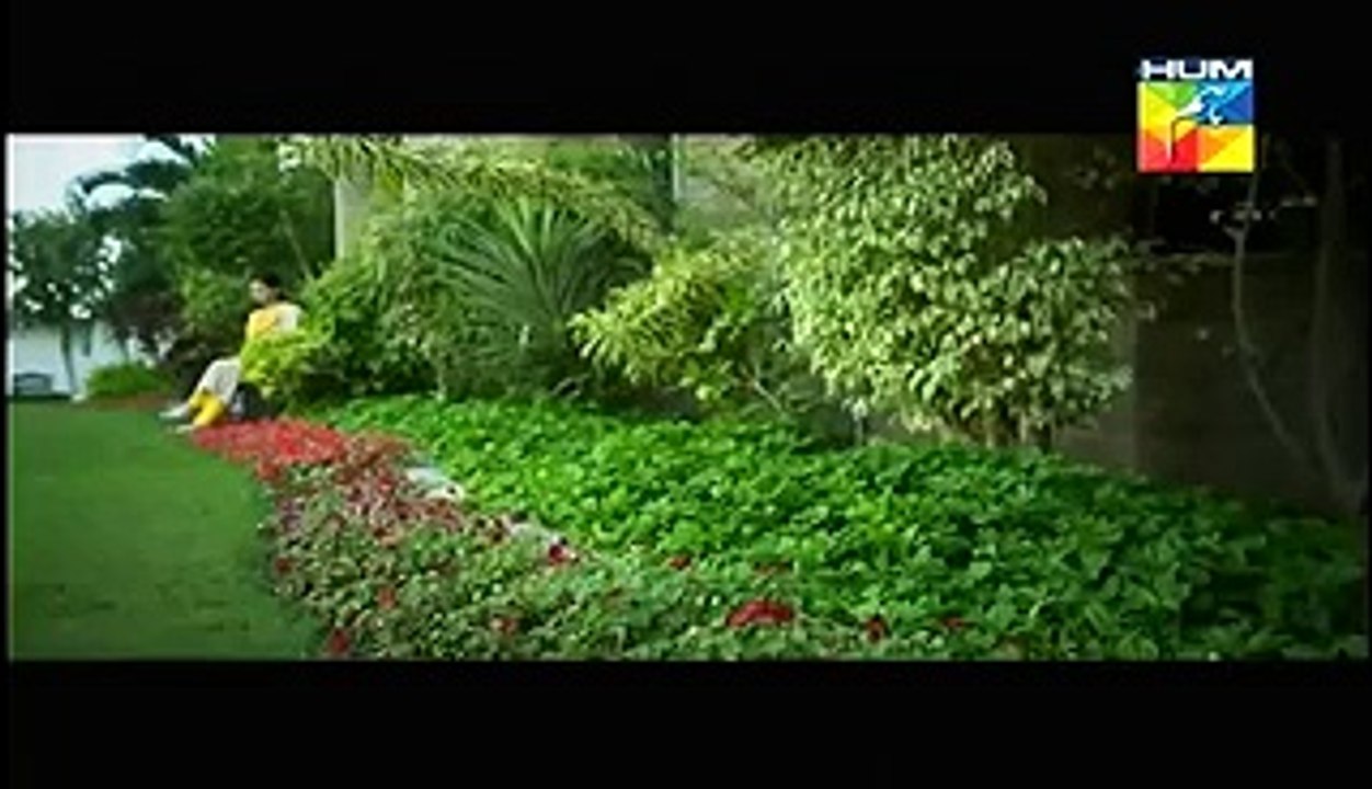 Halki Si Khalish OST by Waqir Ali on Hum Tv