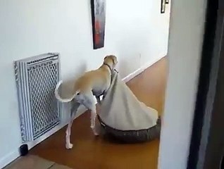 Akşam güneşinde sefa sürmek gibisi de yok