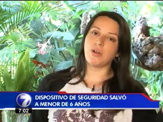 Mujer e hijo de 6 años se salvaron luego de que árbol cayera sobre su auto