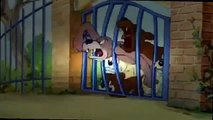 Tom si Jerry 2015 - Animated cartoon