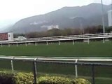 Sha Tin Horse Race Track, Hong Kong