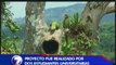Costa Rica contará con centro de rescate de loras y lapas