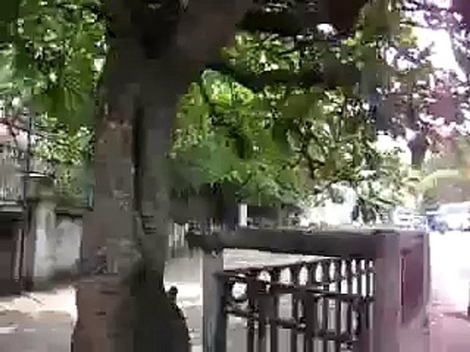 Crossing the street in Colombo