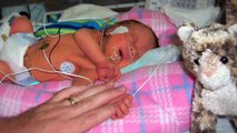 Preemie Nutrition: Nutritional Needs & Fortification