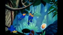 Donald Duck - Clown of the Jungle - Cartoons For Children