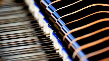 Your song "Elton John" instrumental female Version by Alessandro Silvestrelli