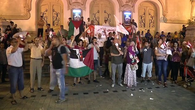 Tunisians condemn Israel's interception of Gaza aid flotilla