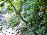 cascada de welib ha chiapas