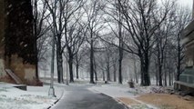 تساقط الثلوج  في كوينز نيويورك . الطبيعة الساحرة والخلابة HD
