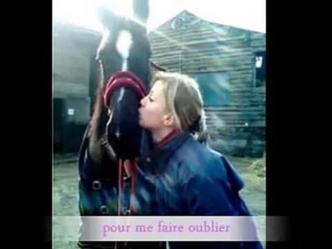 Une jeune fille passionnée d'équitation..amoureuse de cette petite jument maggy...