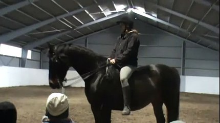 Akademisk ridning Finesse nov-09.flv