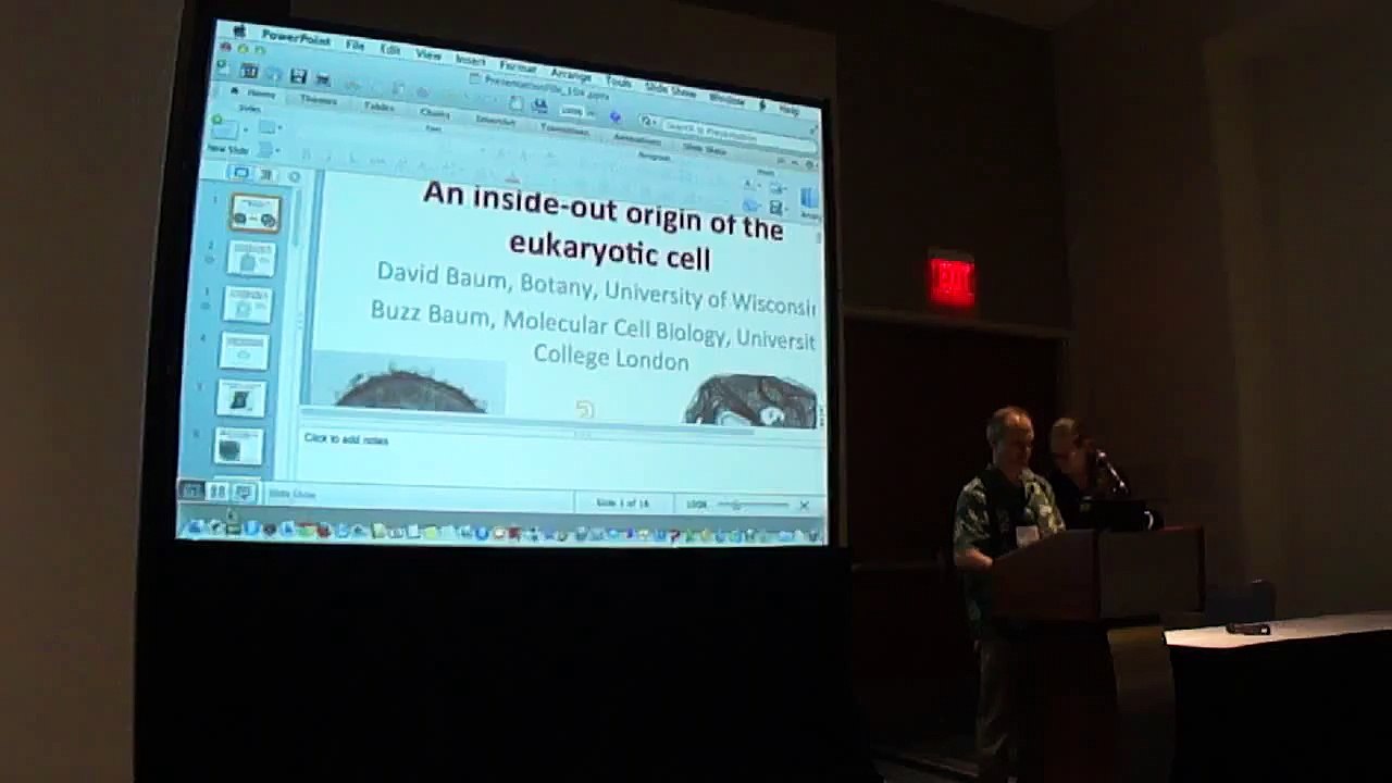 Baum: An inside-out origin of the eukaryotic cell