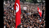 The 2010--2011 Tunisian Revolution