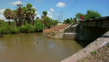 Diversão & Arte - 7/12