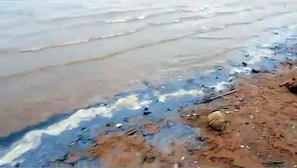 óleo no Lago Paranoá