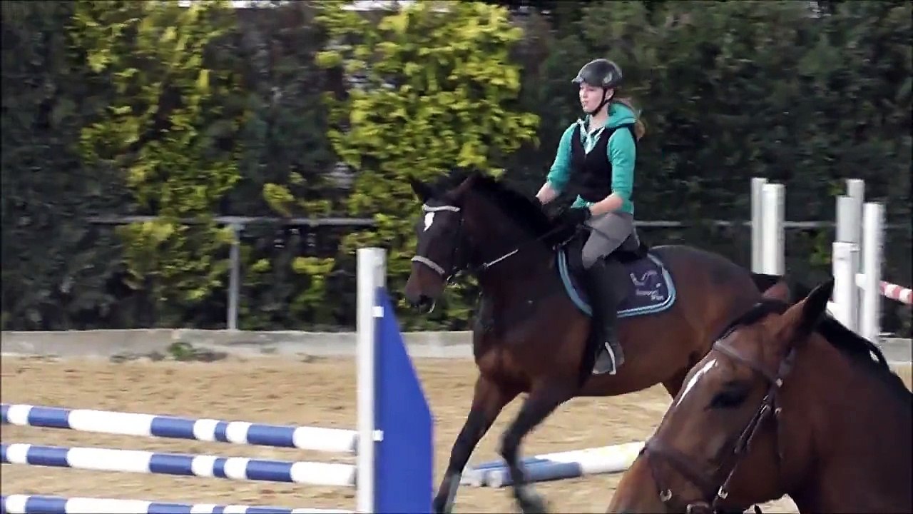 ღ Sydney und Sandy ღ If nothing goes right, go left