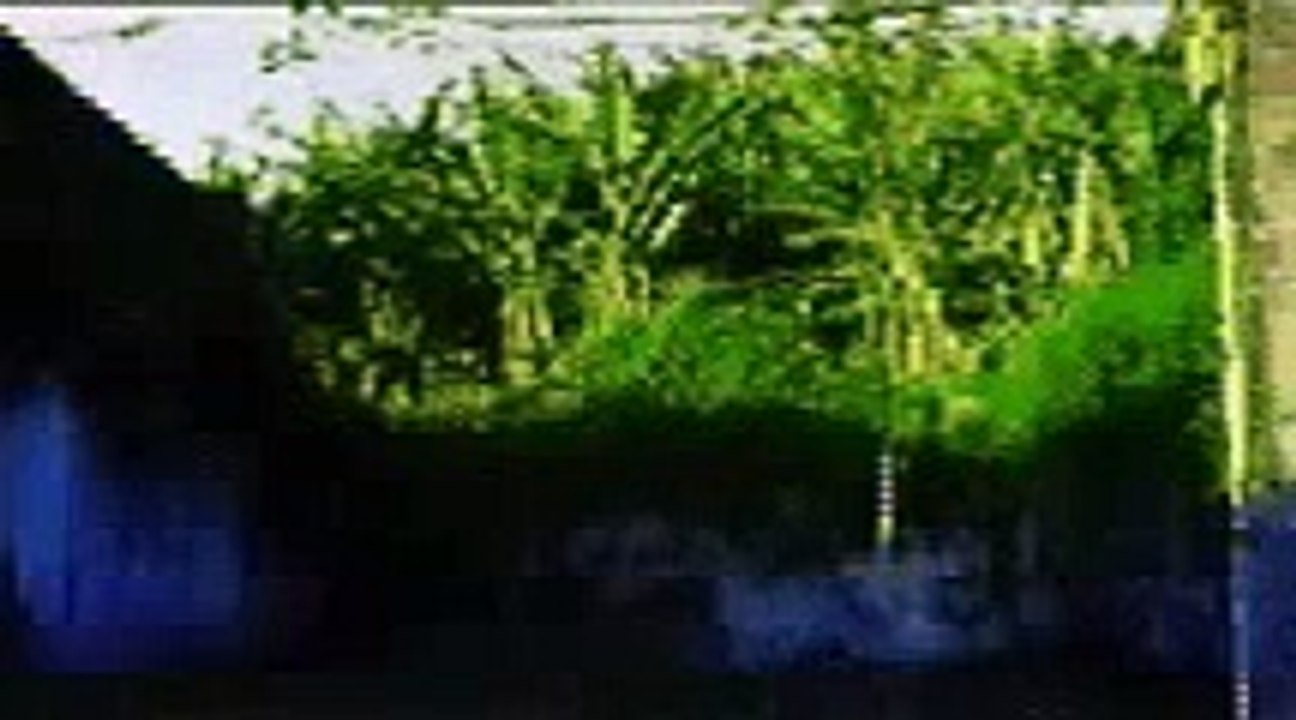 The Cure - Mint Car / different version