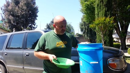 Finding Liquid Mercury while Gold Mining.