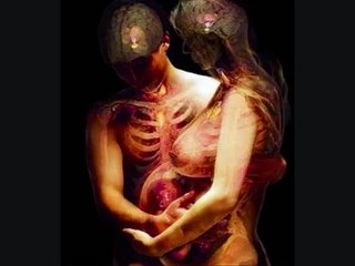 DESARROLLO EMBRIONARIO Y FETAL  "Tu hijo quiere hablarte"