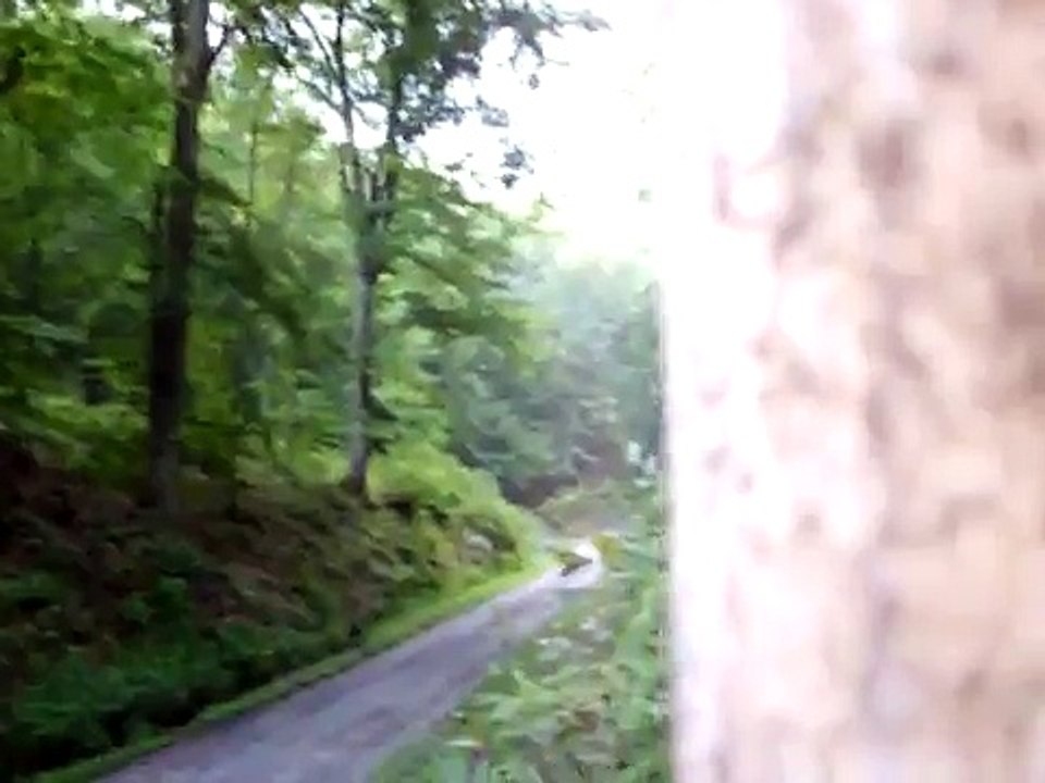 GANGSTALKING GREENEVILLE, TN