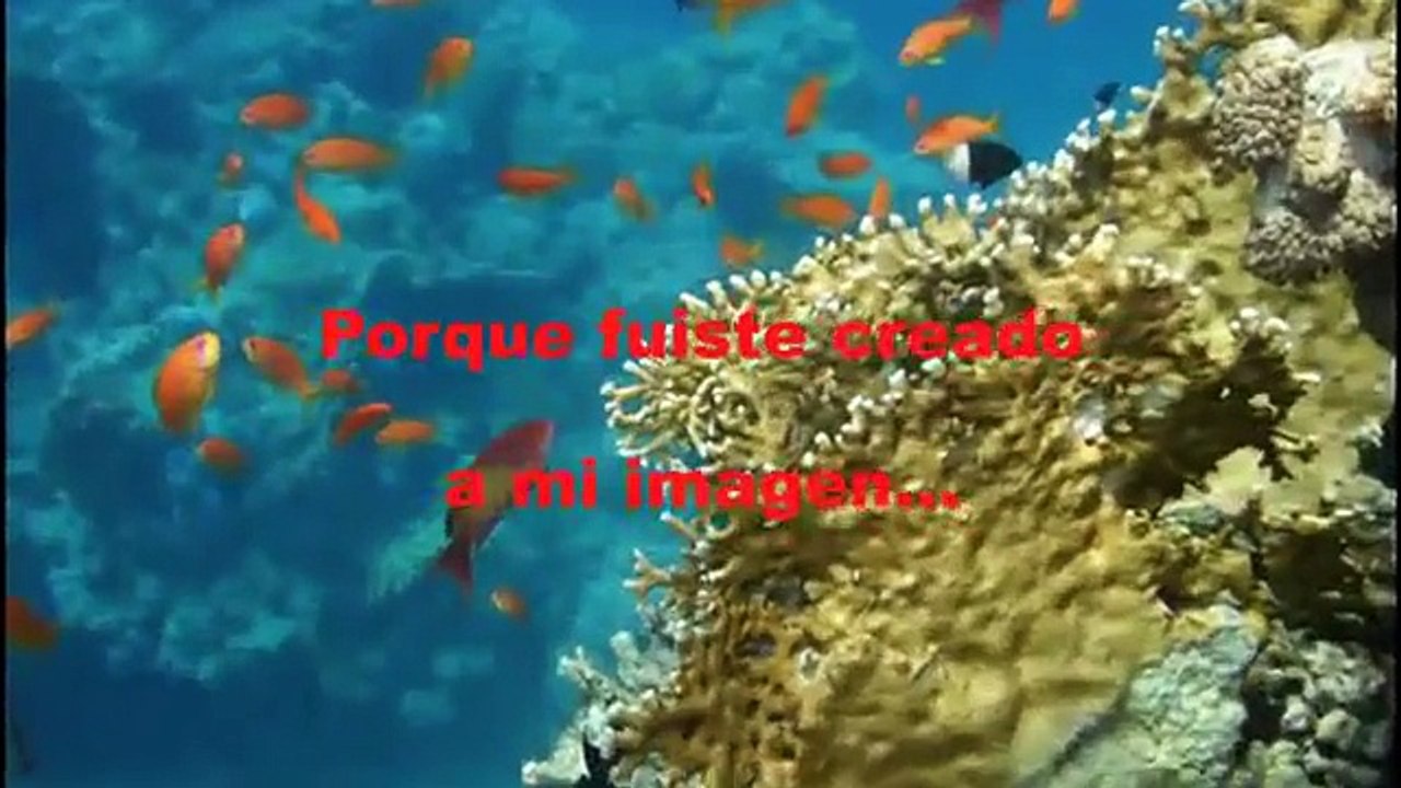 LIBRO DE ORACION DIARIA - CARTA DE AMOR DE DIOS -  PROSPERIDAD UNIVERSAL