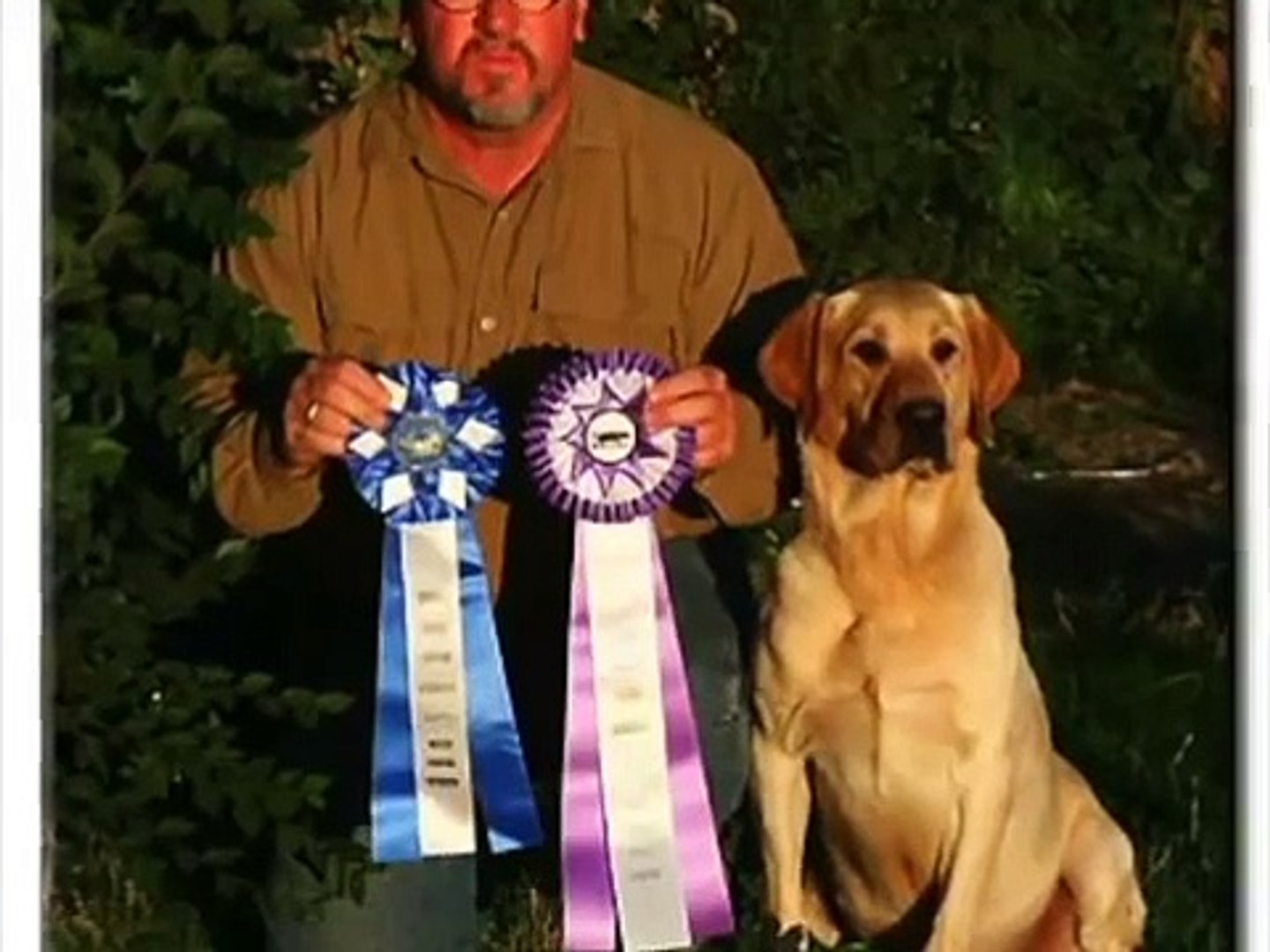 poudre river gun dogs