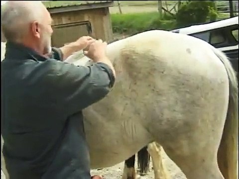 reportage maréchal pieds nus