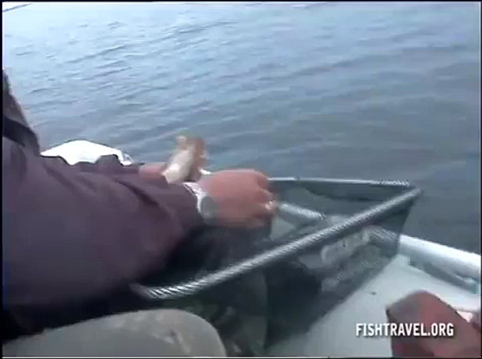 Рыбалка видео часть 3. Таежные озера Томской области.