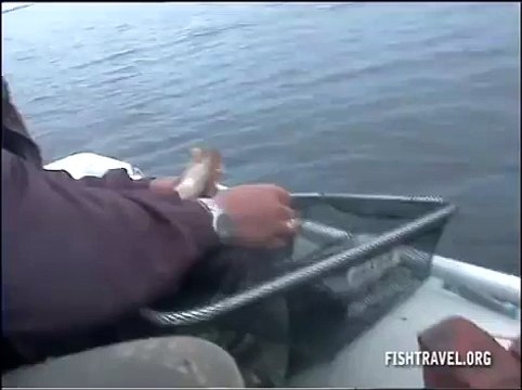 Рыбалка видео часть 3. Таежные озера Томской области.