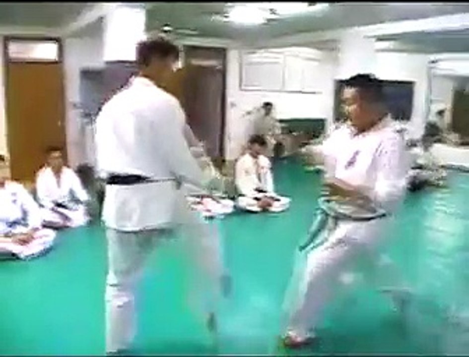kyokushin vs hapkido