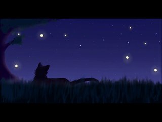 Fireflies Animation testing (Read description)