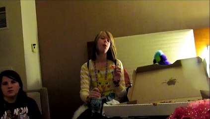 Midwest FurFest 2011 🦊