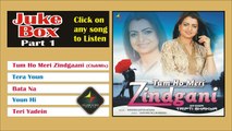 TUM HO MERI ZINDGANI - 1 - JukeBox