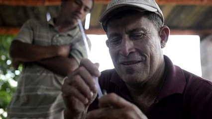 Conoce al hombre que cría y ama a los cocodrilos [VIDEO]