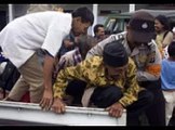 indonesia tsunami tribute video 2010  - show your respect right here