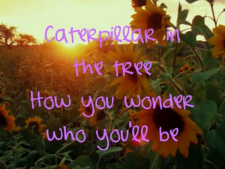 Miley Cyus ft. Billy Ray Cyrus Butterfly Fly Away LYRICS (HQ) video